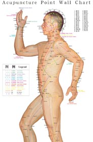 Map of accupuncture points